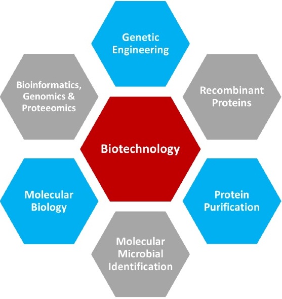 molecular biotechnology research topics